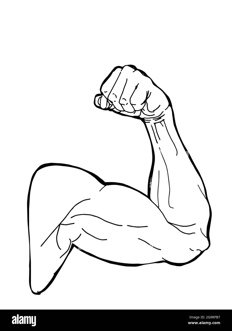 Sport Man Muscular Strong Arm Illustration line Art Stock Photo Alamy