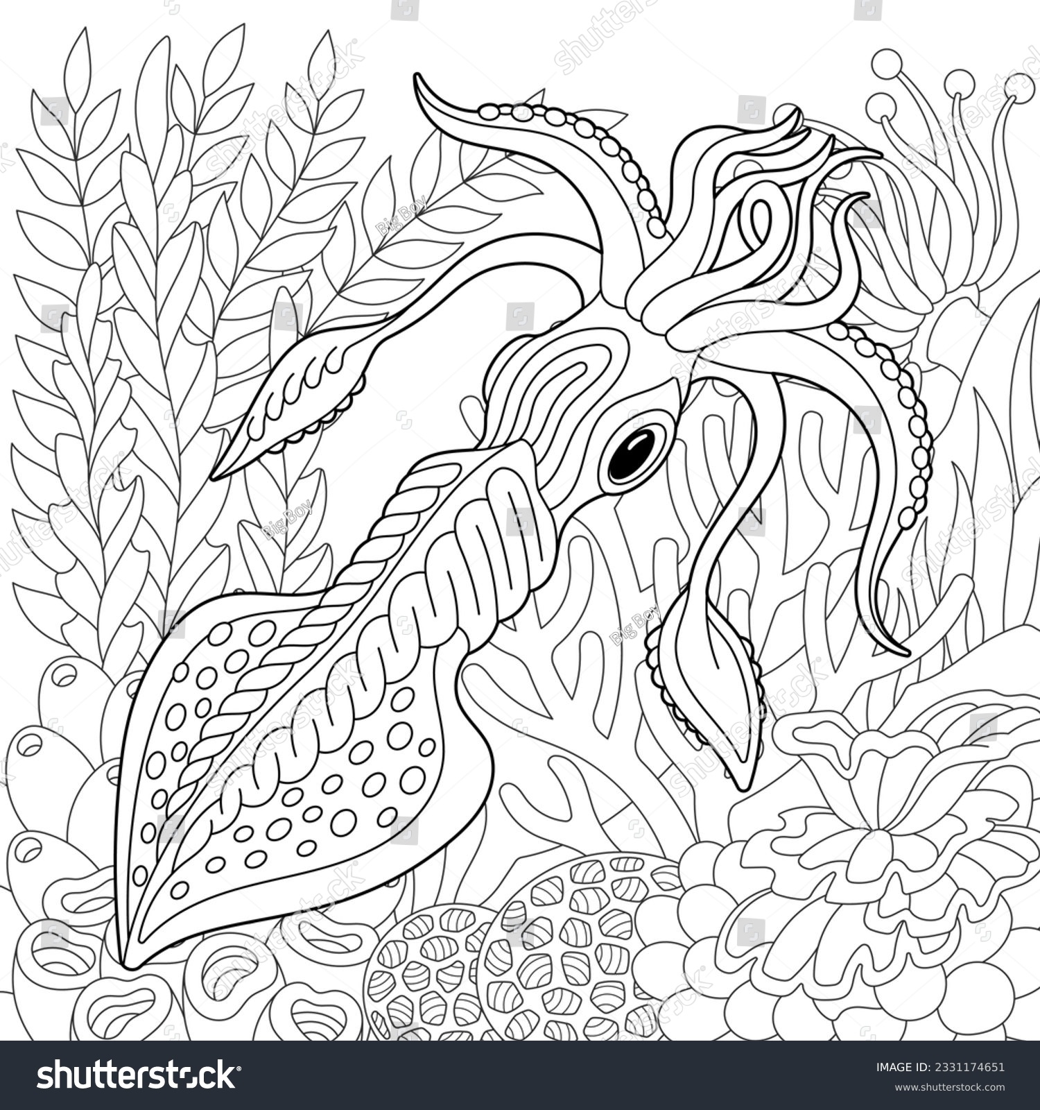 squid coloring sheet