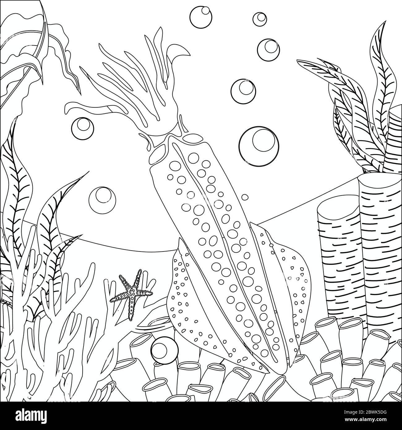 realistic squid coloring page