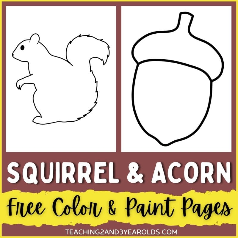 acorn color sheet