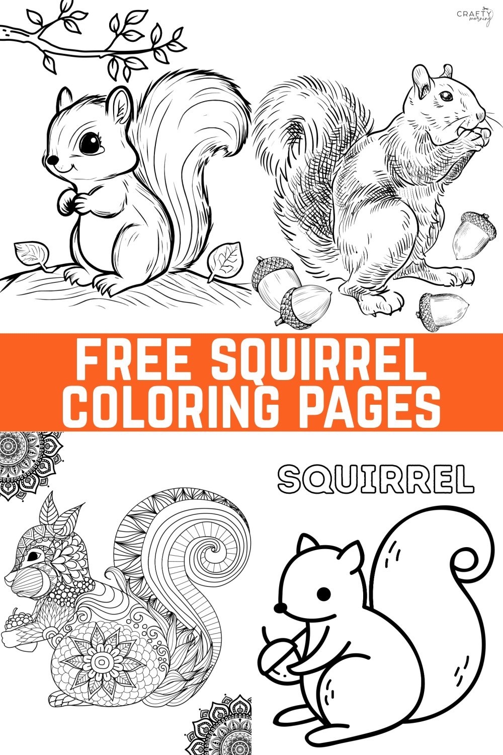 free squirrel coloring pages
