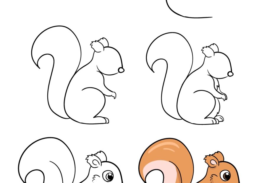 Squirrel Drawing How To Draw A Squirrel Step By Step