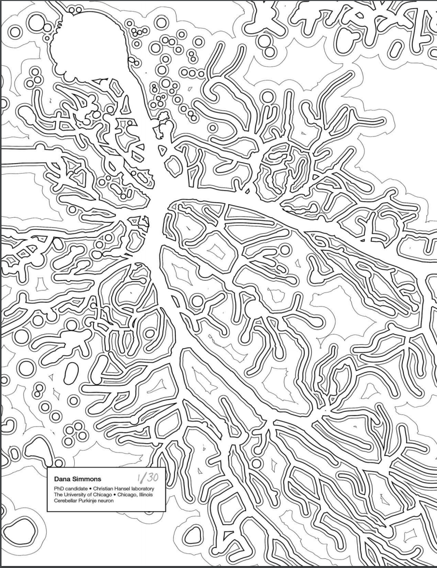 Stay In The Lines With These Neat Science Coloring Pages