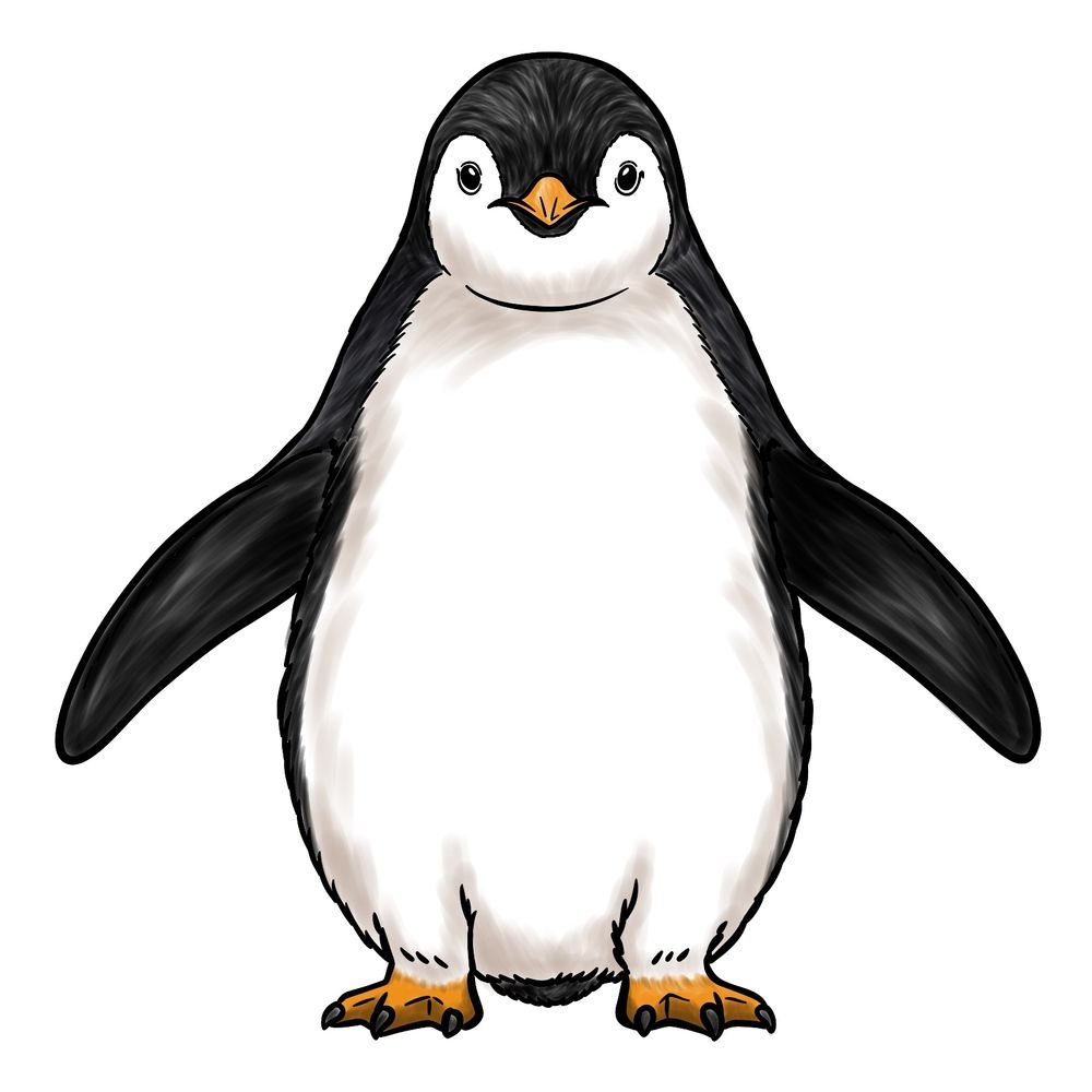Step by Step Guide For Creating A Penguin Front View Drawing