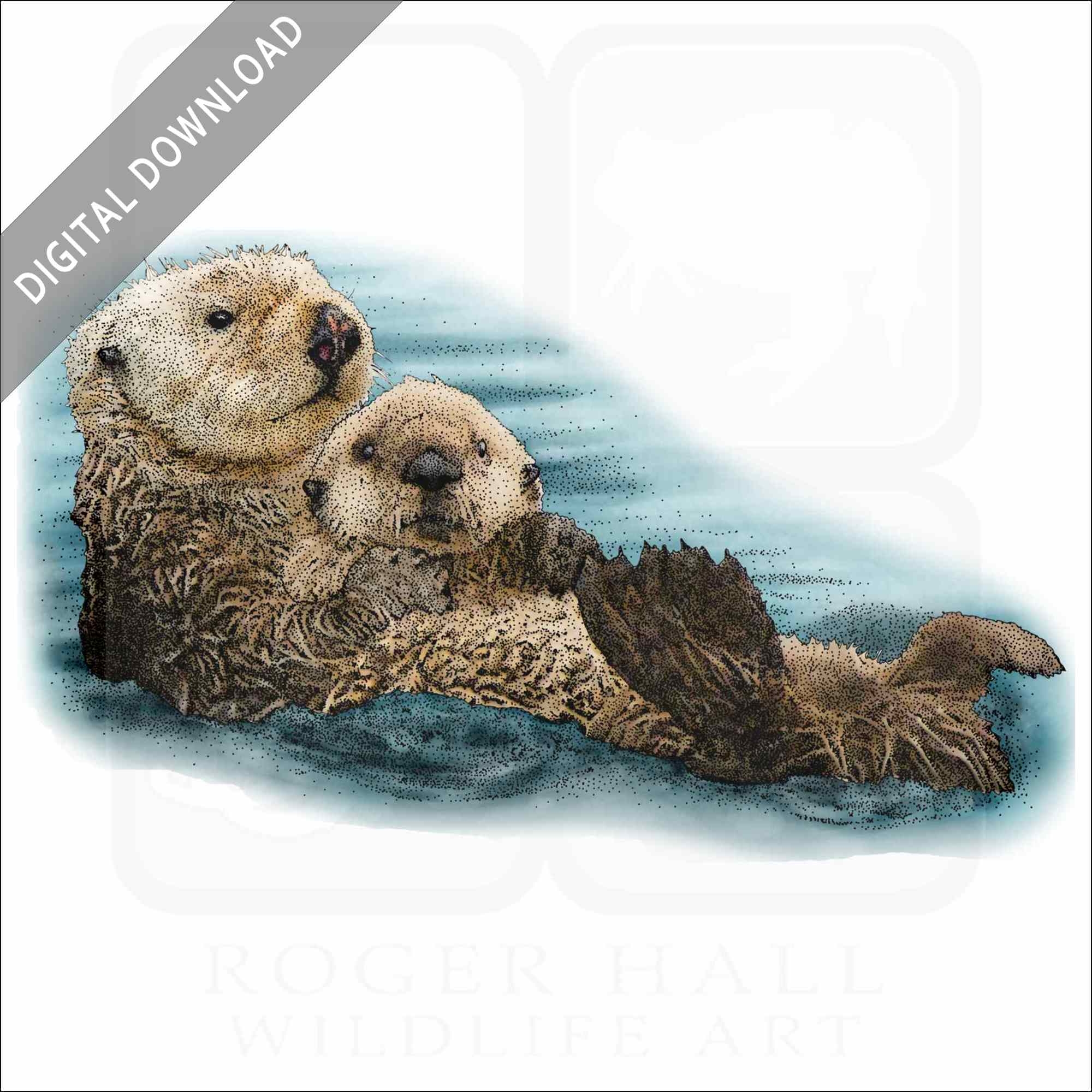 sea otter drawing