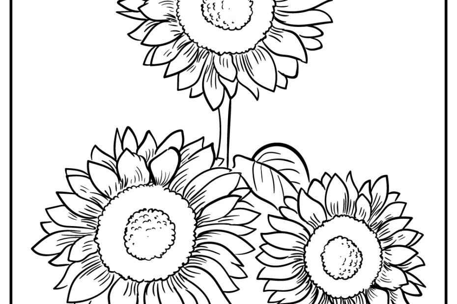 Sunflower Coloring Pages 100 Free Printables