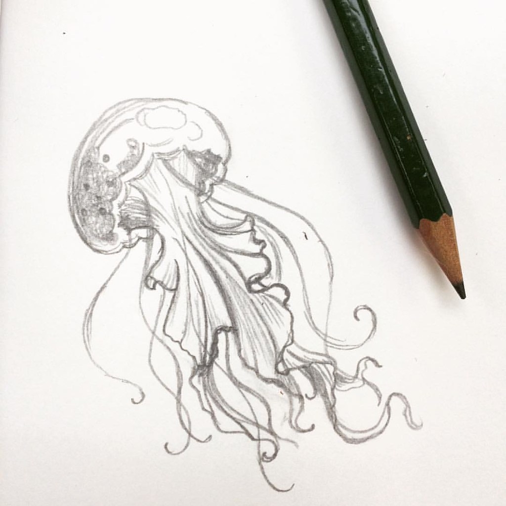 Super Tiny Jellyfish Sketch cute squishy jellyfish s Flickr