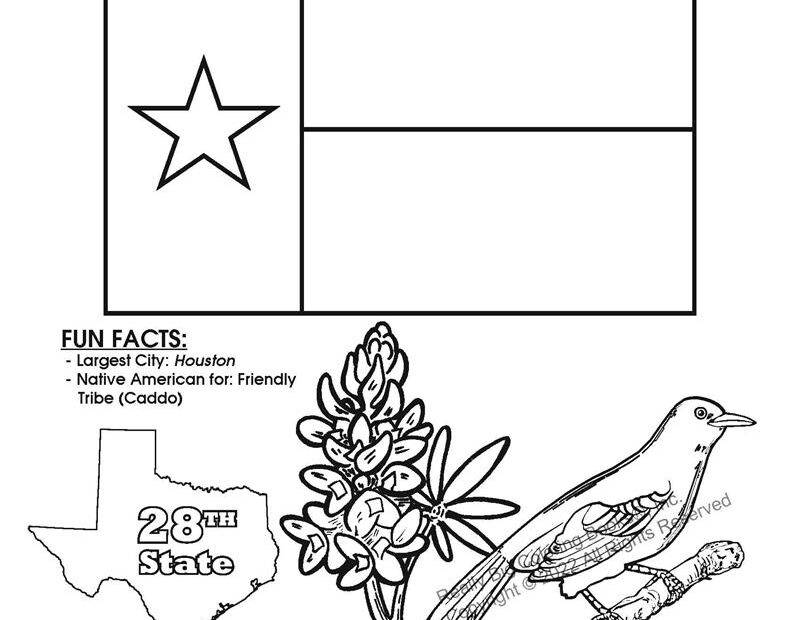 Texas State Coloring Book