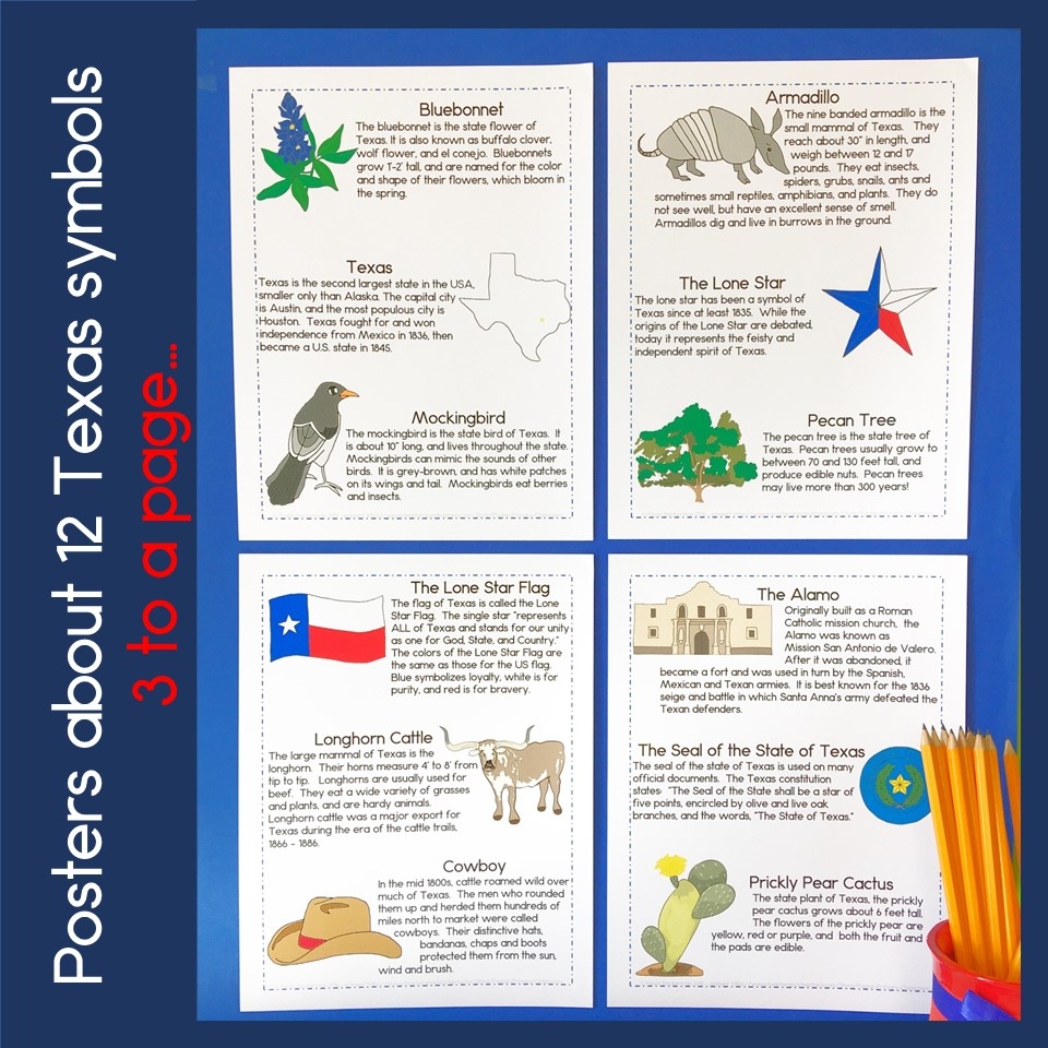 Texas State Symbols Bingo With Symbols Of Texas Informational 