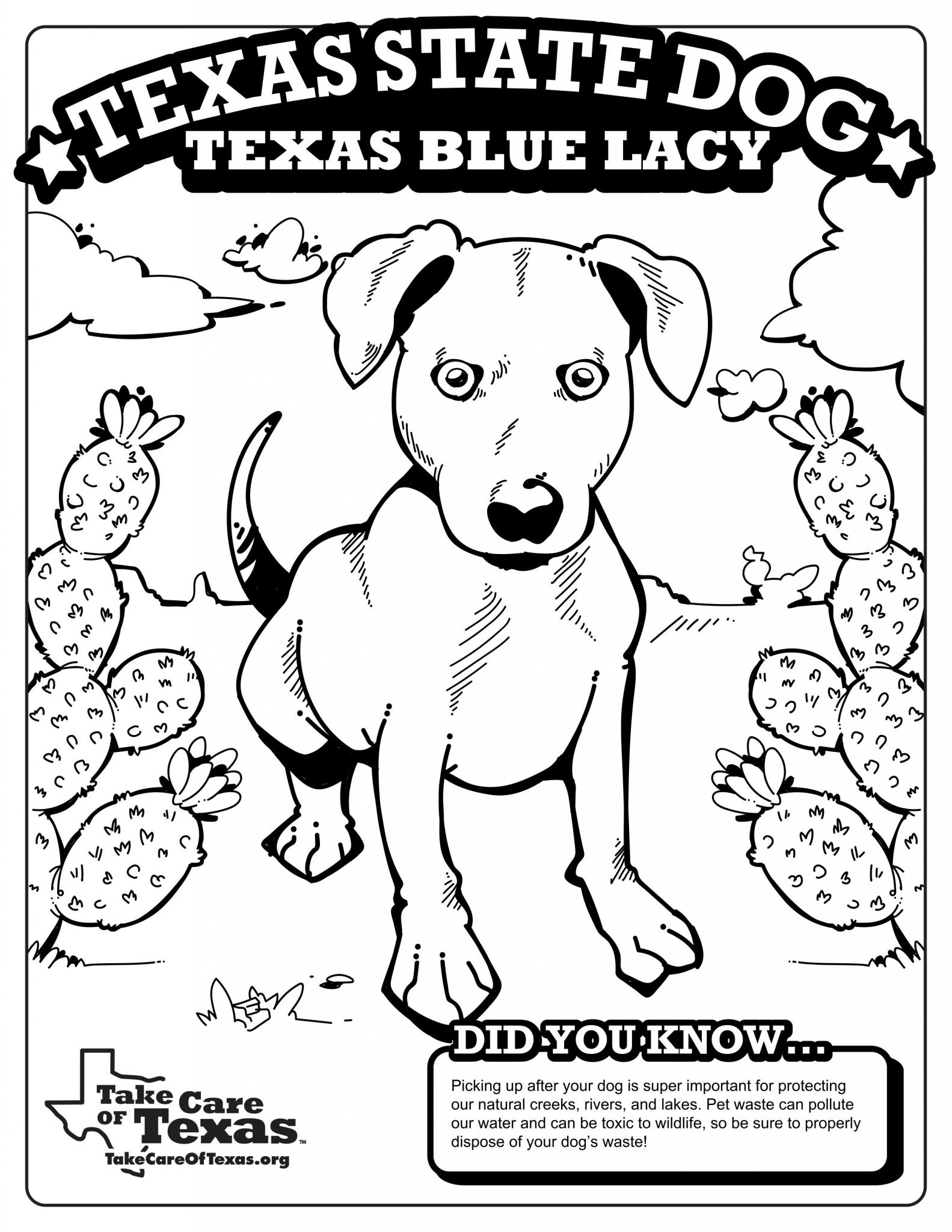 Texas Symbols Coloring Pages Take Care Of Texas
