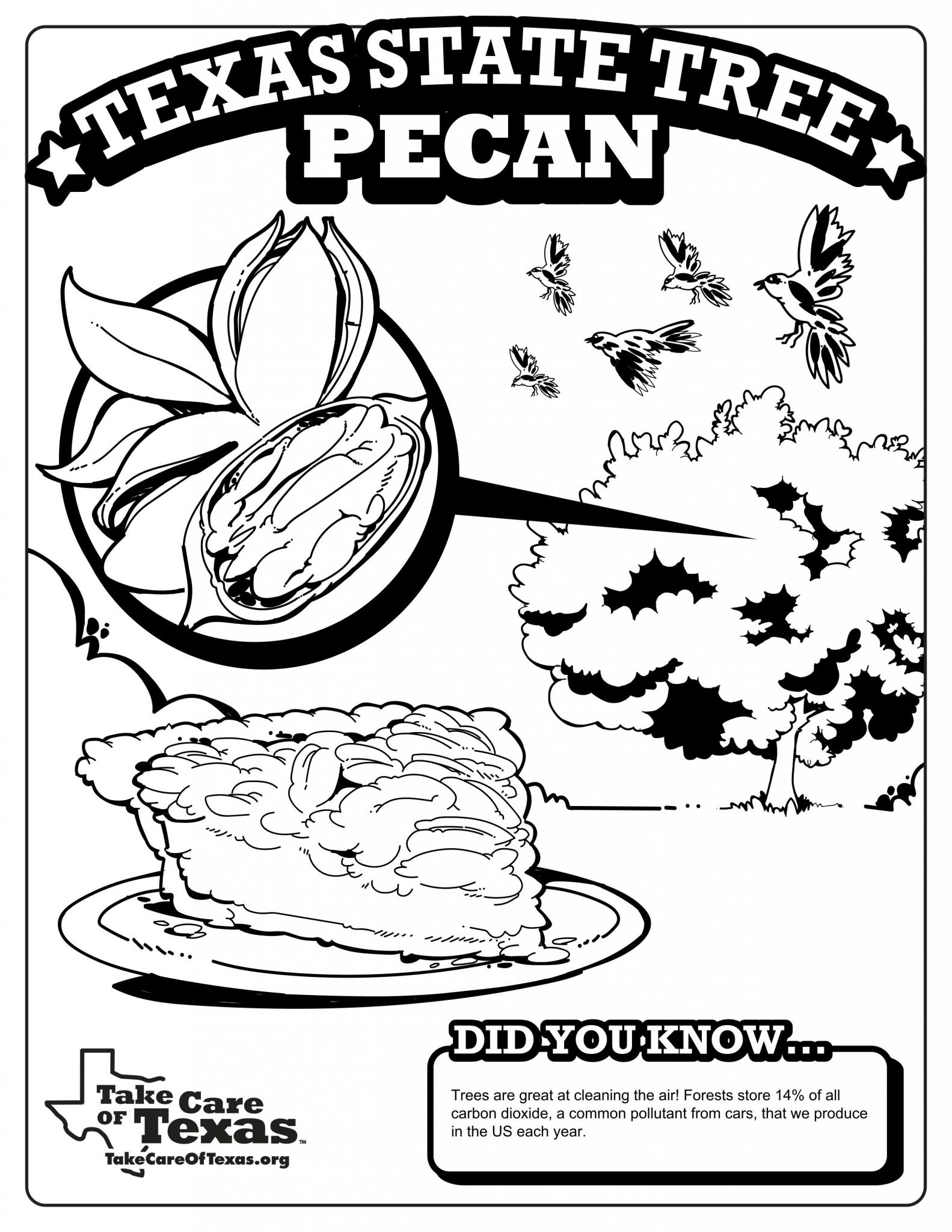 Texas Symbols Coloring Pages Take Care Of Texas