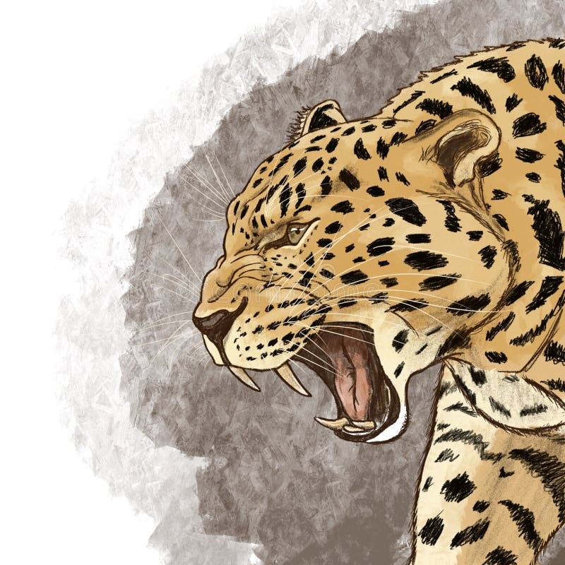The Angry Jaguar Illustration Stock Illustration Illustration Of Jaguar Drawing 284797851