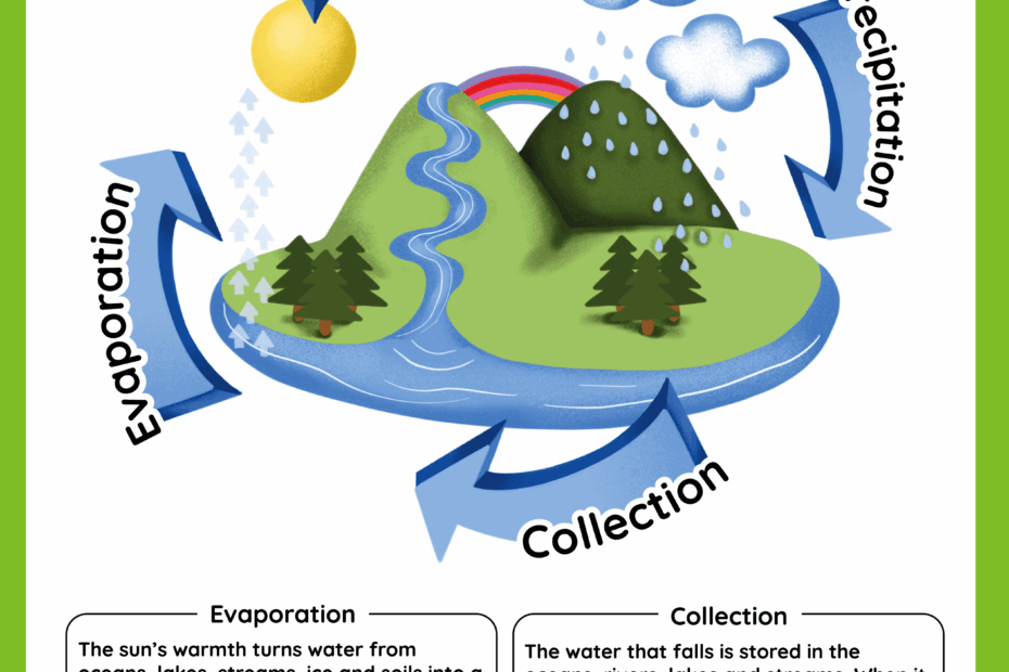 The Water Cycle Free Worksheet SKOOLGO