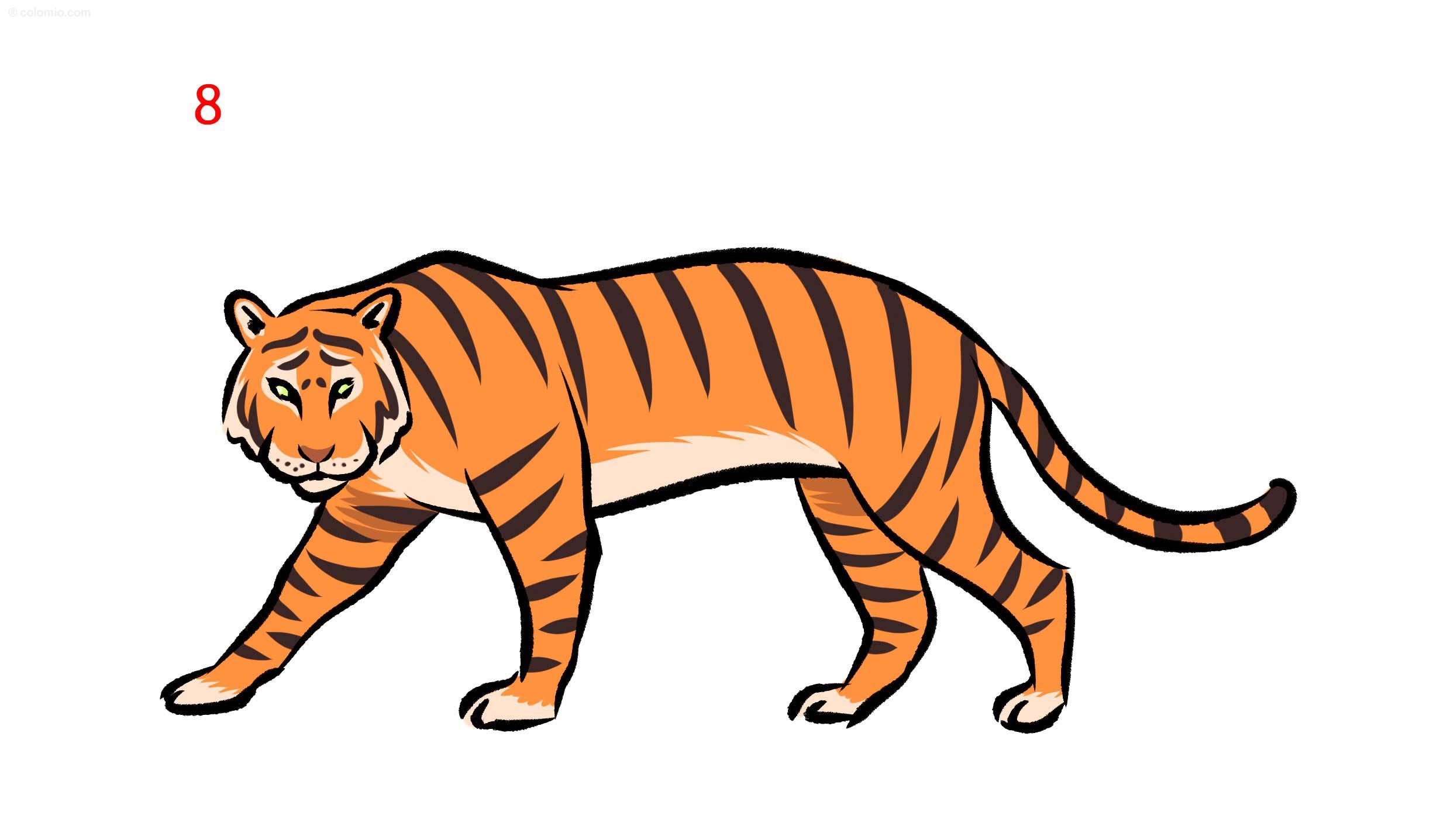 Tiger Drawing Ideas How To Draw A Tiger