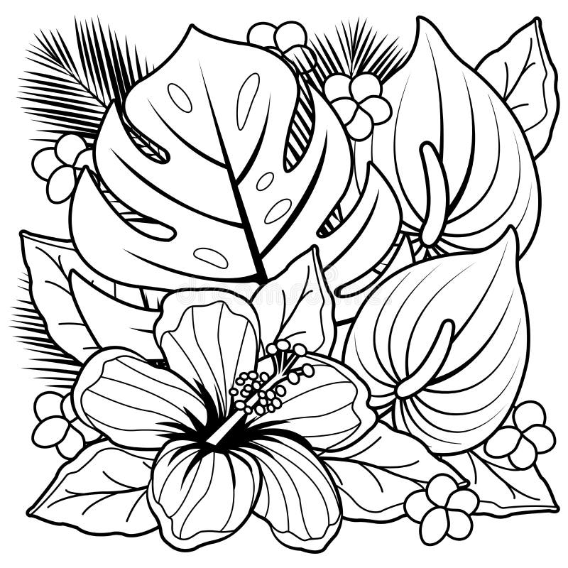 Tropical Coloring Stock Illustrations 27 005 Tropical Coloring 