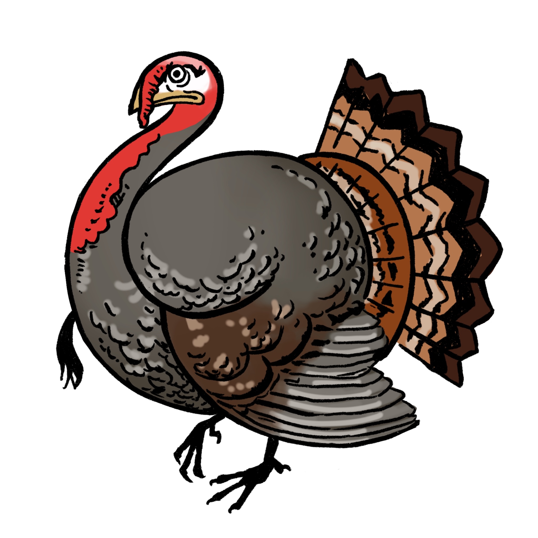 easy to draw turkey