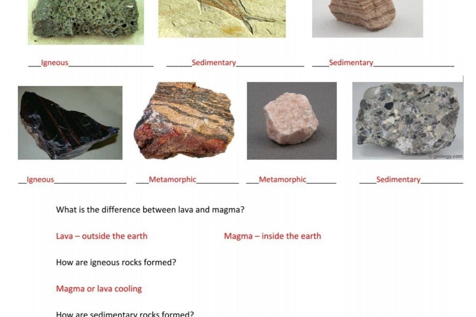 Types Of Rocks Worksheet