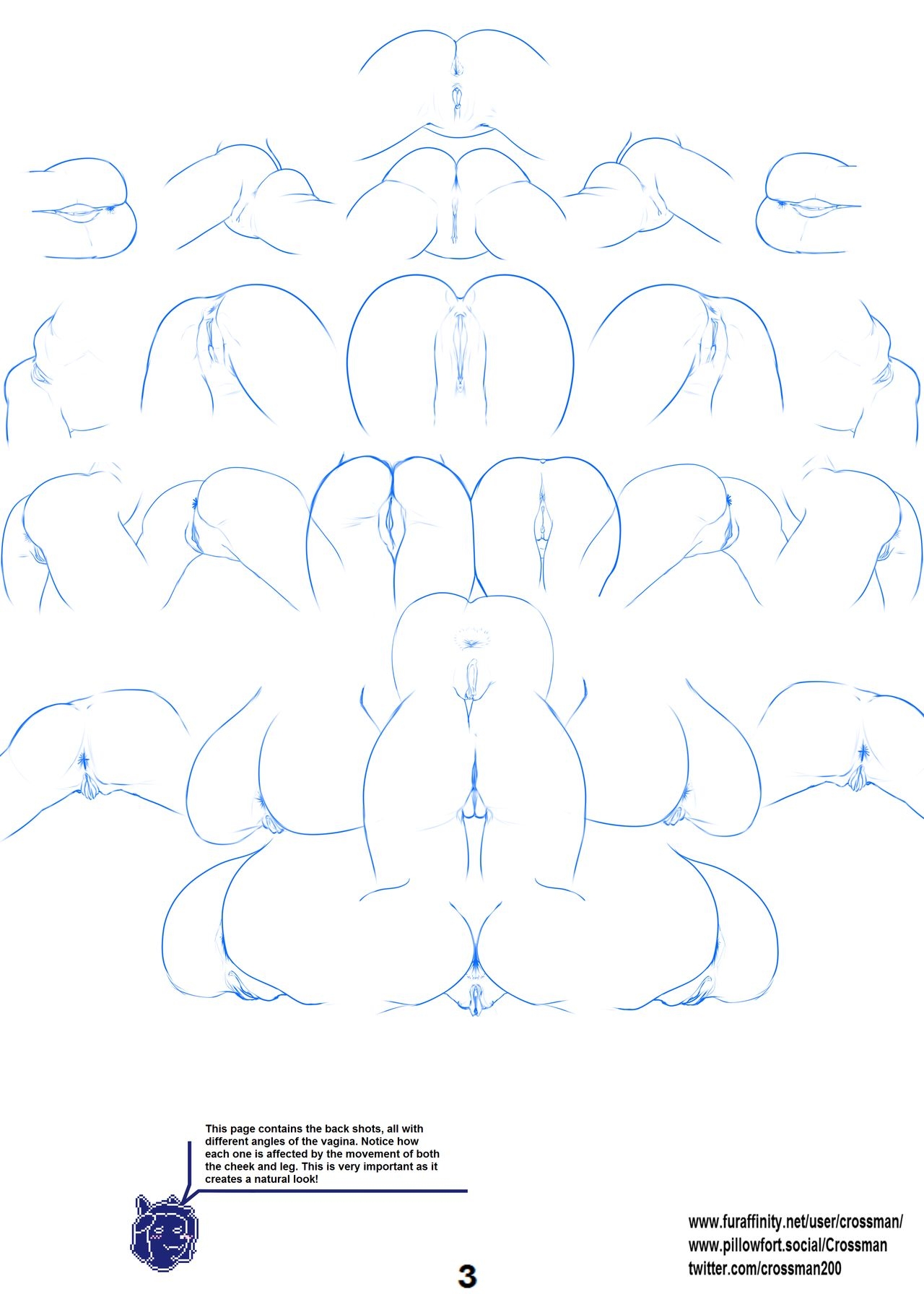 Vagina Drawing Tutorial Chapter 1 Page 3 HentaiEnvy