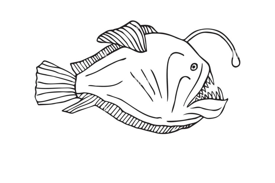 Vector Hand Drawn Doodle Sketch Angler Fish Isolated On White