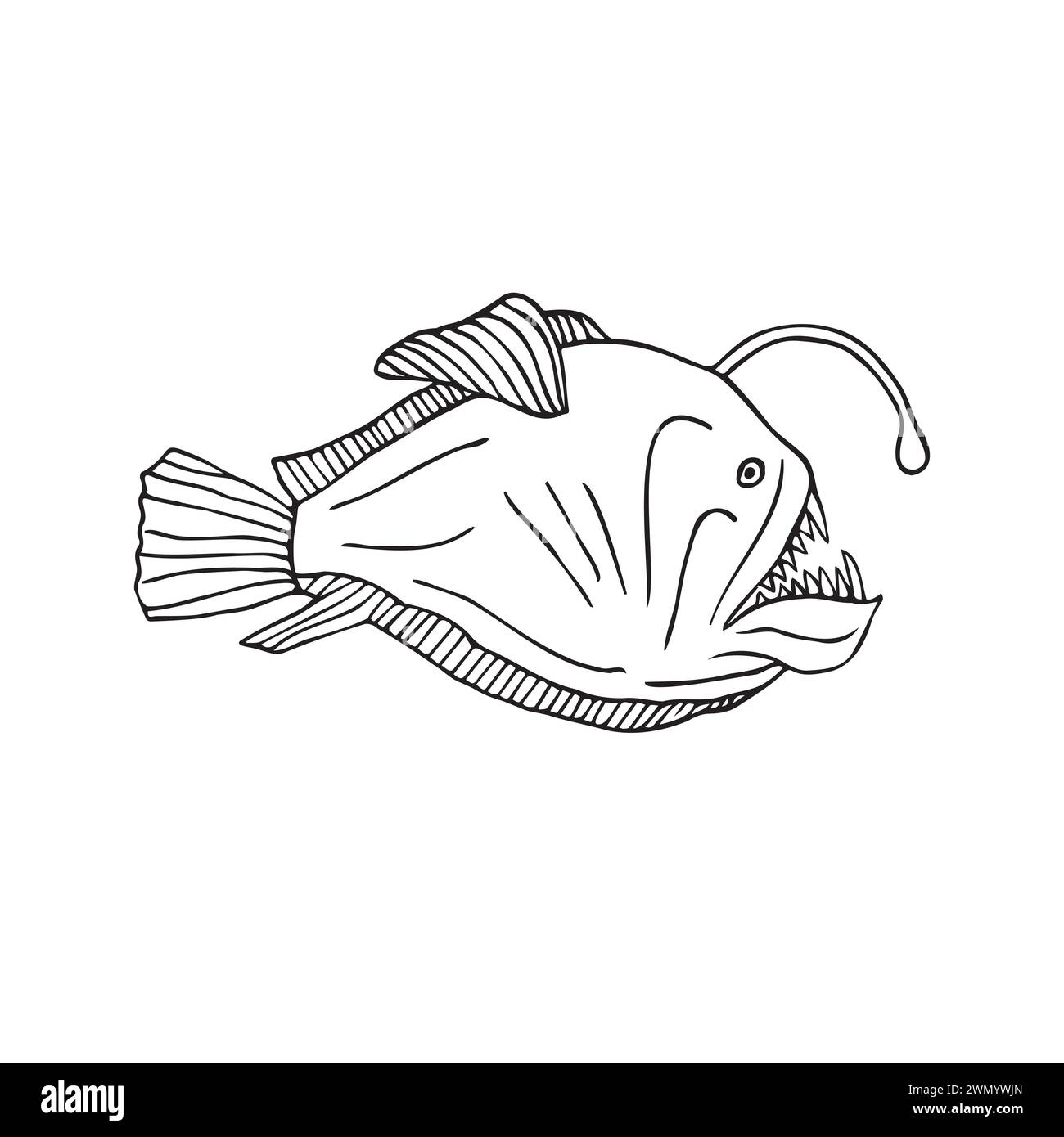 Vector Hand Drawn Doodle Sketch Angler Fish Isolated On White 