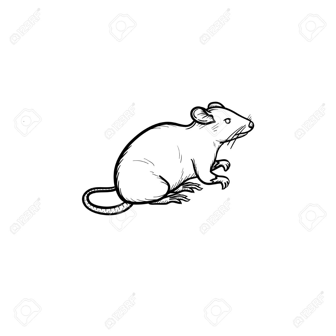 Vector Hand Drawn Lab Rat Outline Doodle Icon Lab Rat Sketch 