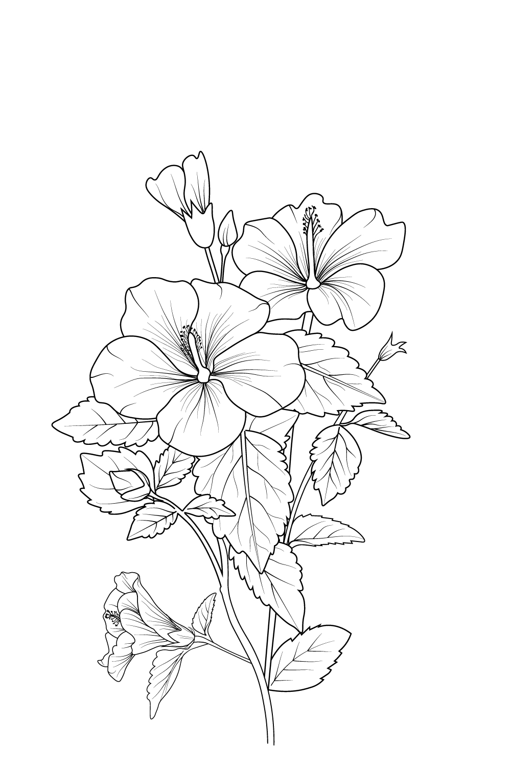 Vector Hibiscus Flower Hibiscus Flower Drawing Easy Sketch Easy Hibiscus Flower Drawing MasterBundles