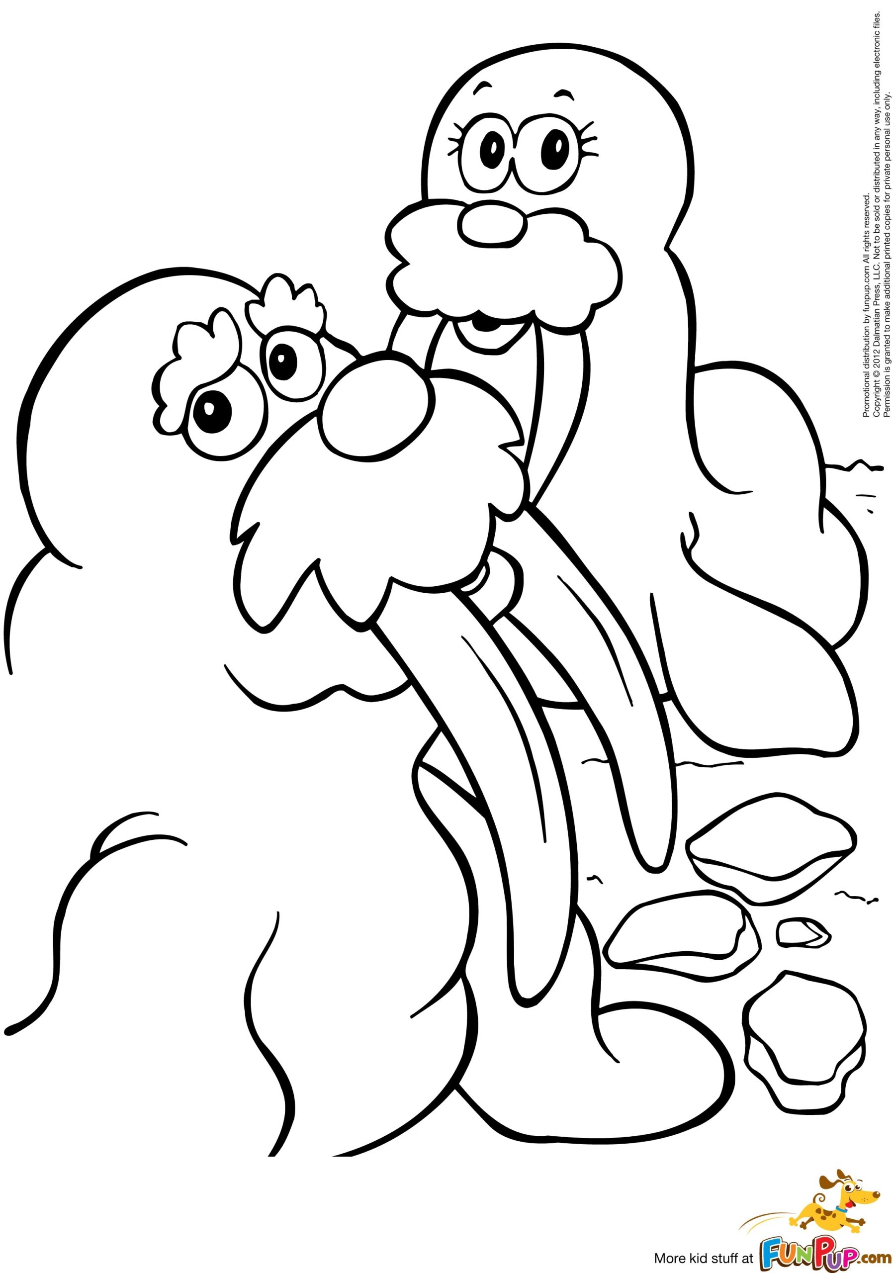 Walrus 16555 Animals Free Printable Coloring Pages