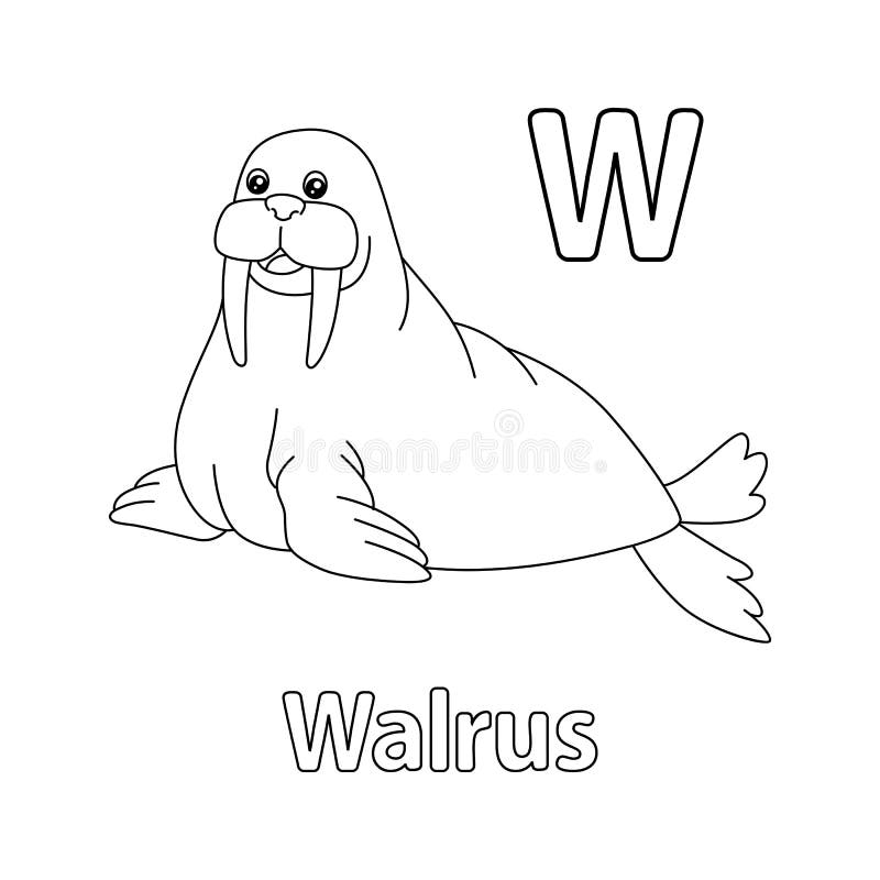 Walrus Alphabet ABC Coloring Page W Stock Vector Illustration Of Letter Color 253761660