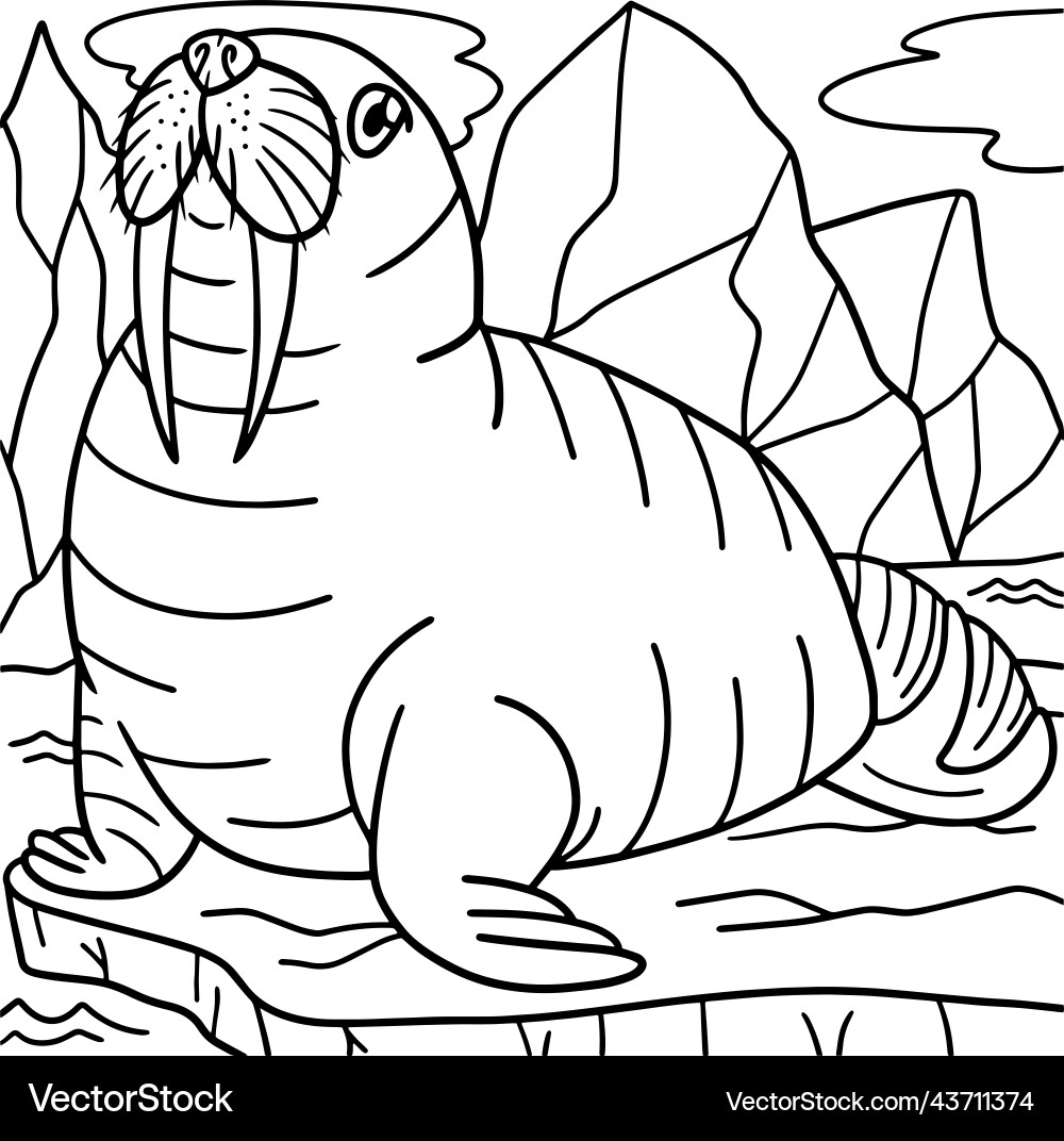 Walrus Coloring Page For Kids Royalty Free Vector Image
