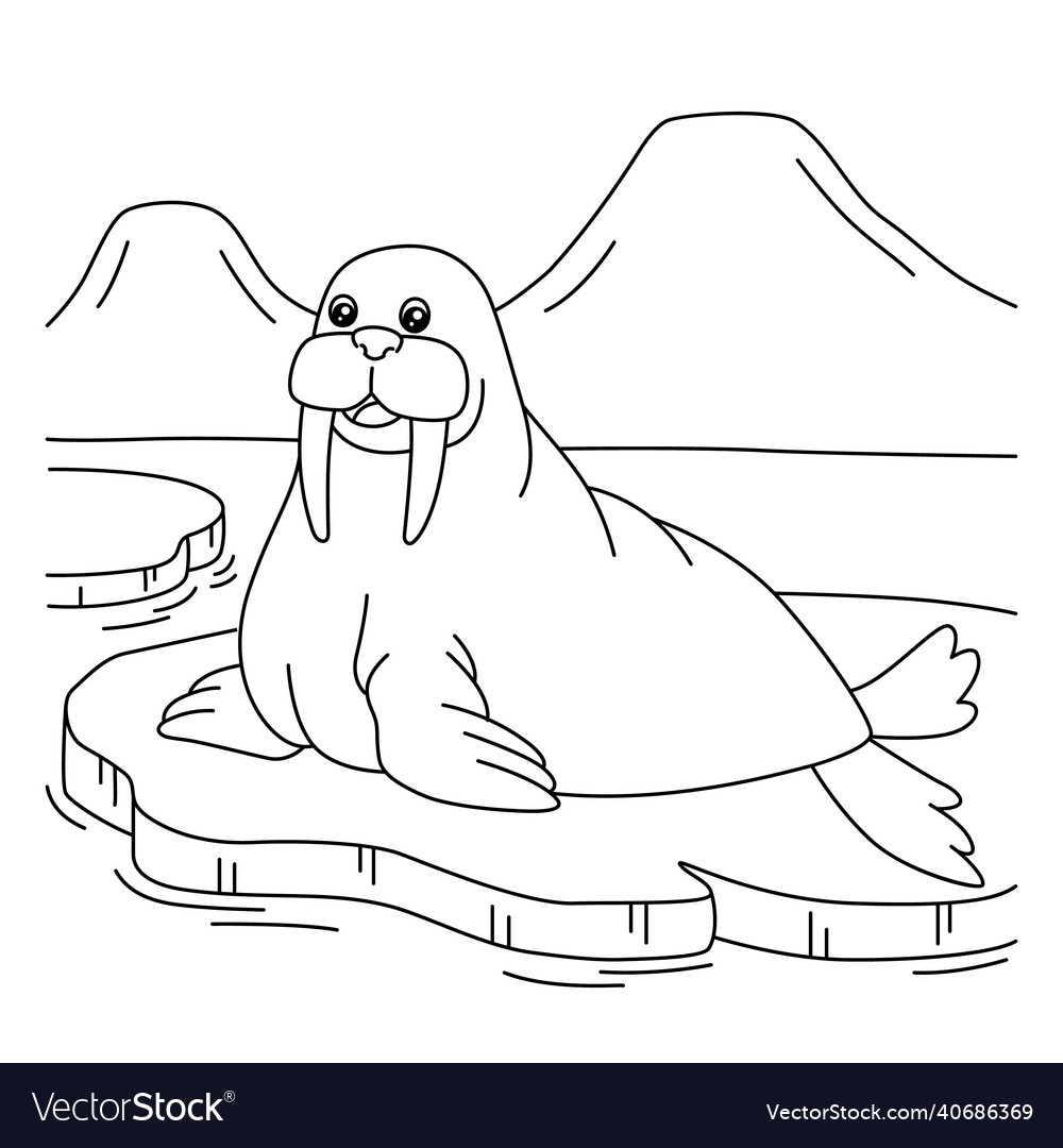Walrus Coloring Page For Kids Royalty Free Vector Image
