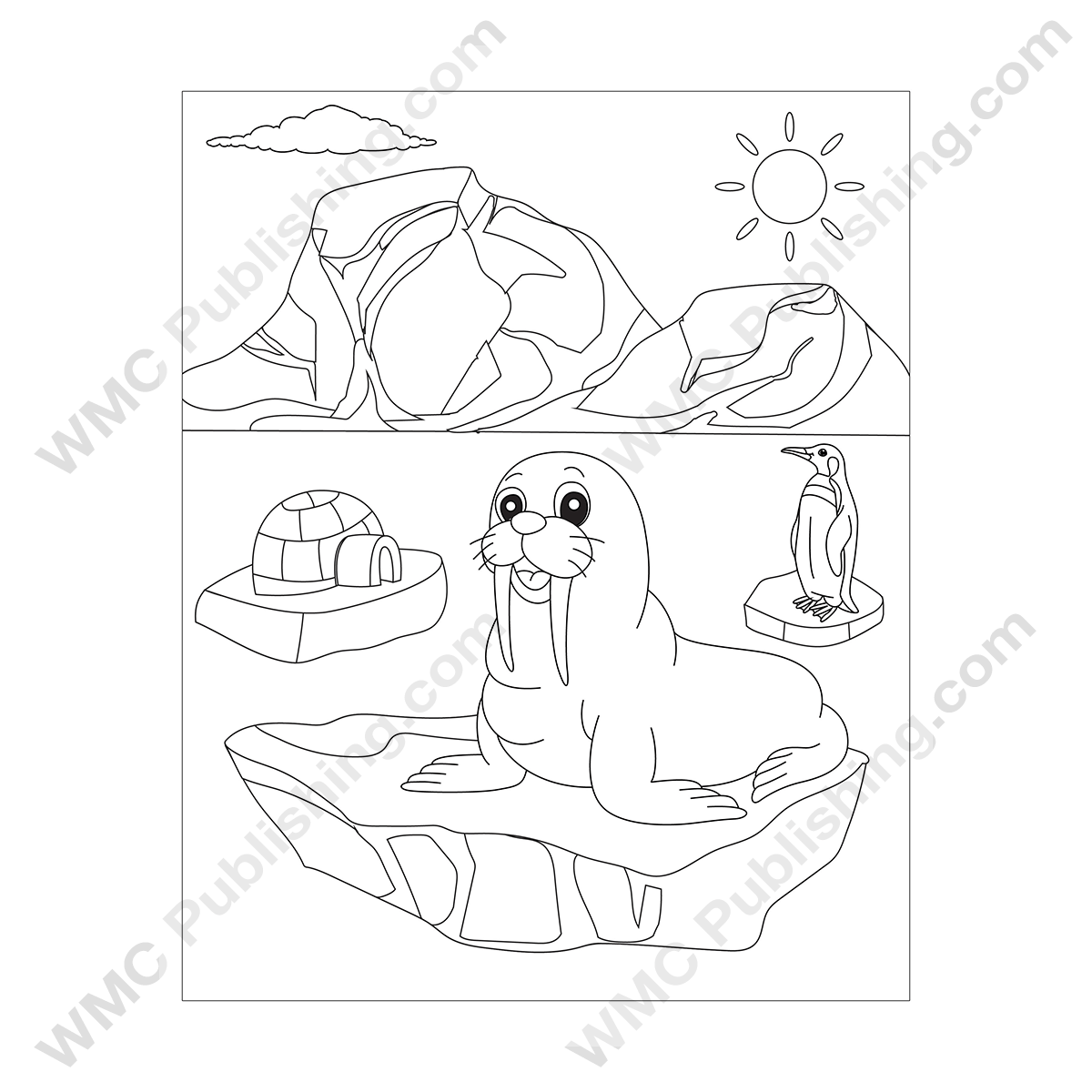 Walrus Coloring Pages WMC Publishing