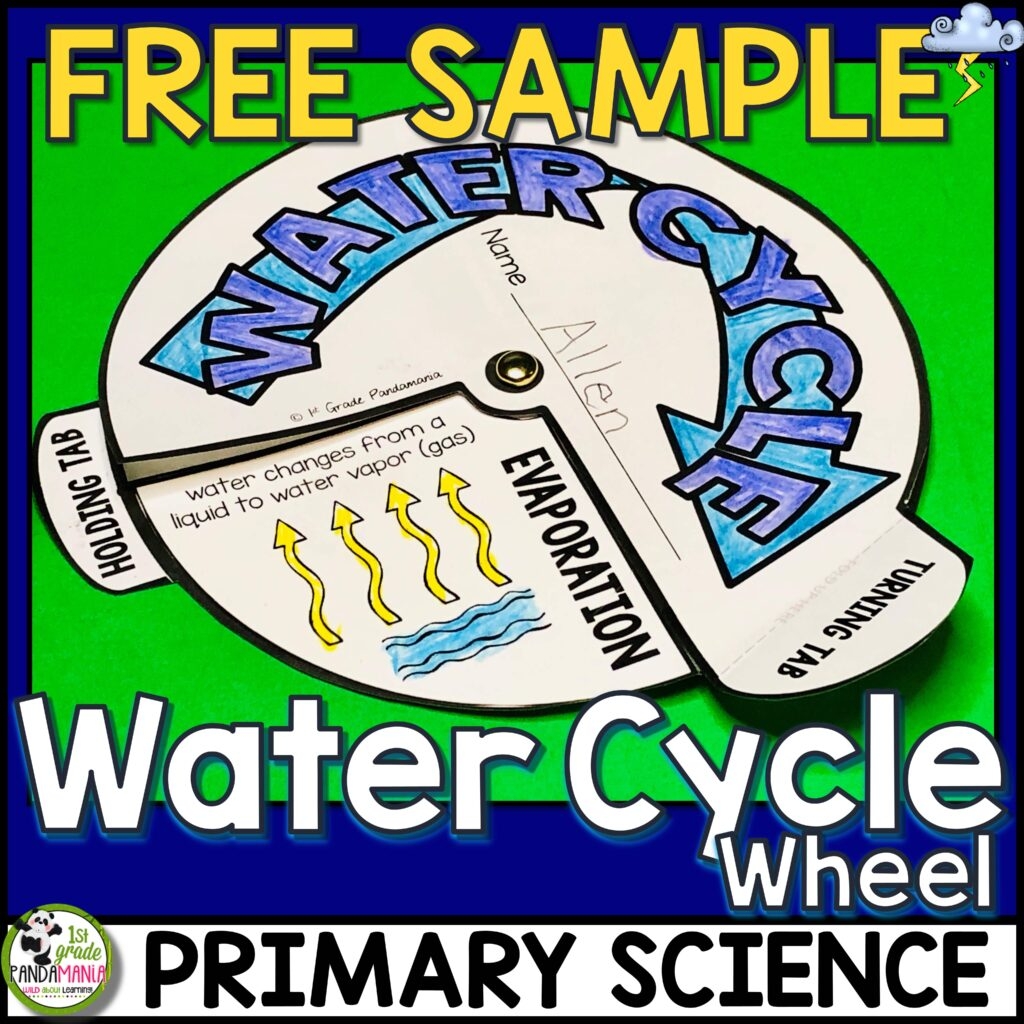 Water Cycle Activity Wheel Collection Evaporation Precipitation 