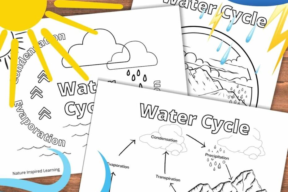 Water Cycle Coloring Pages For Kids Nature Inspired Learning