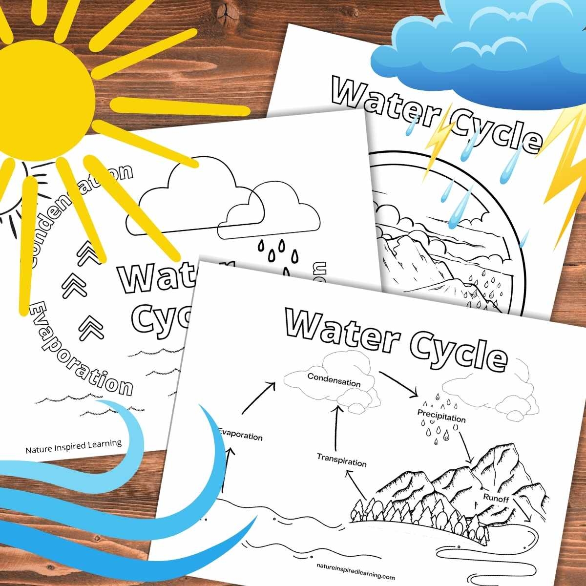 Water Cycle Coloring Pages For Kids Nature Inspired Learning