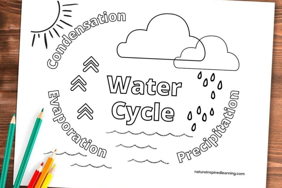 Water Cycle Coloring Pages For Kids Nature Inspired Learning