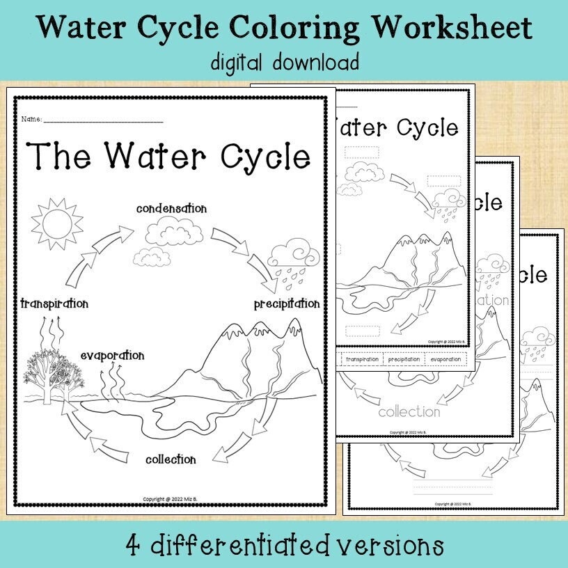 Water Cycle Coloring Worksheet Etsy