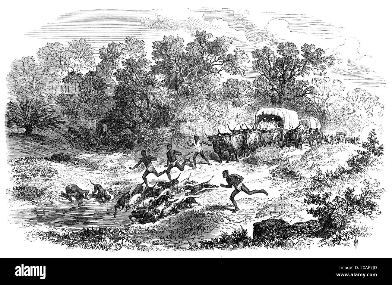 Water Scarcity South Africa Black And White Stock Photos U0026 Images Alamy