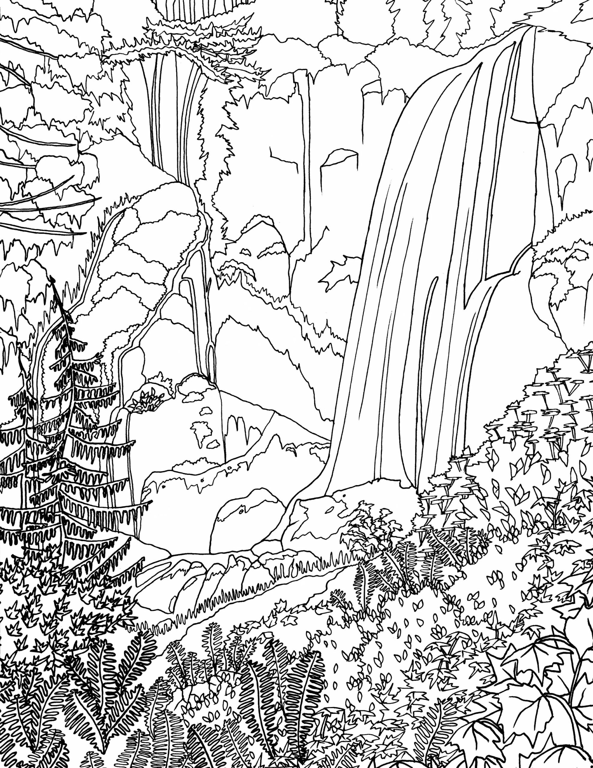 Waterfall In The Forest Adult Coloring Page Adult Coloring Page 