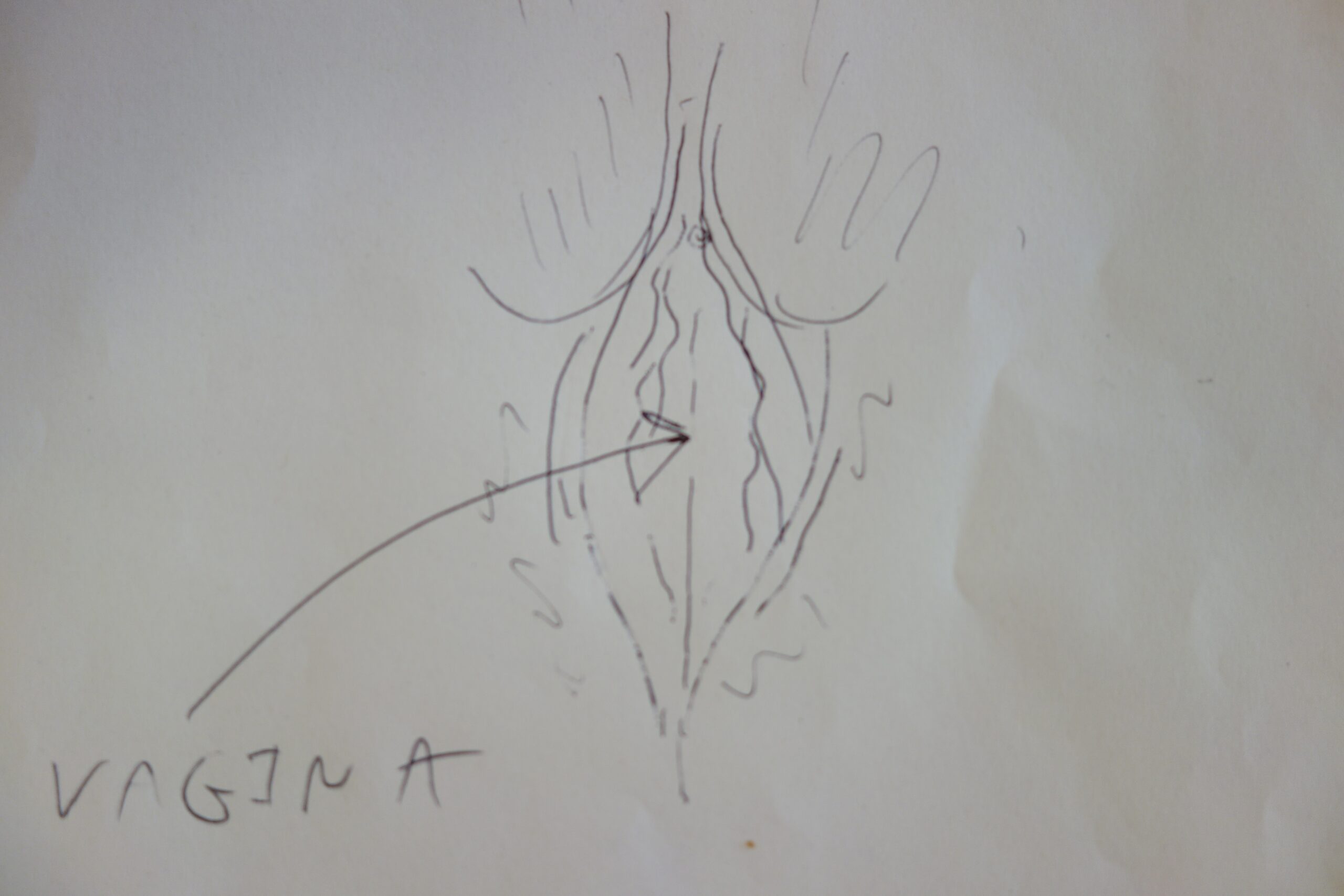 how to draw a vigina