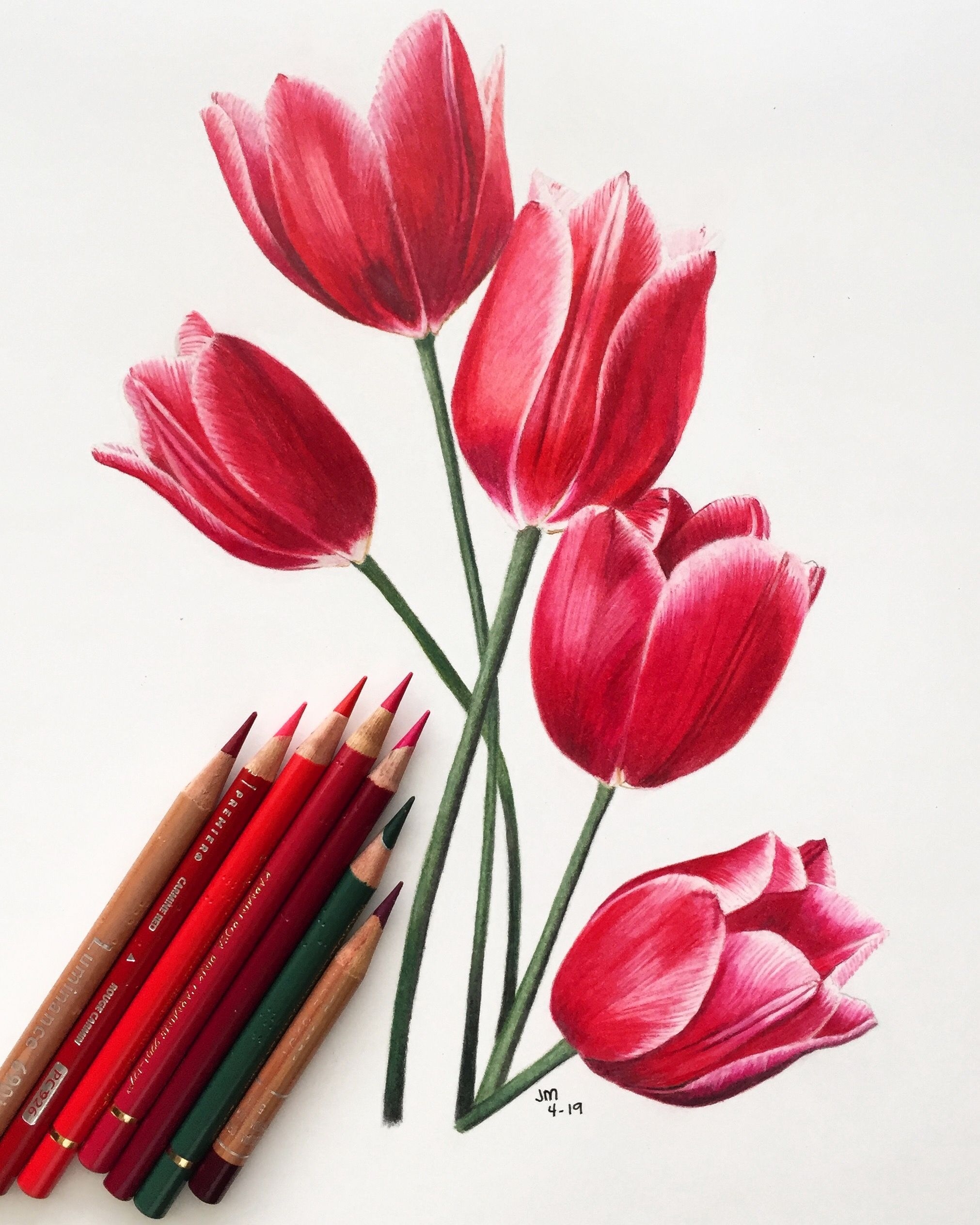 You Need These Beginner Tips For Colored Pencil Drawing The Art 