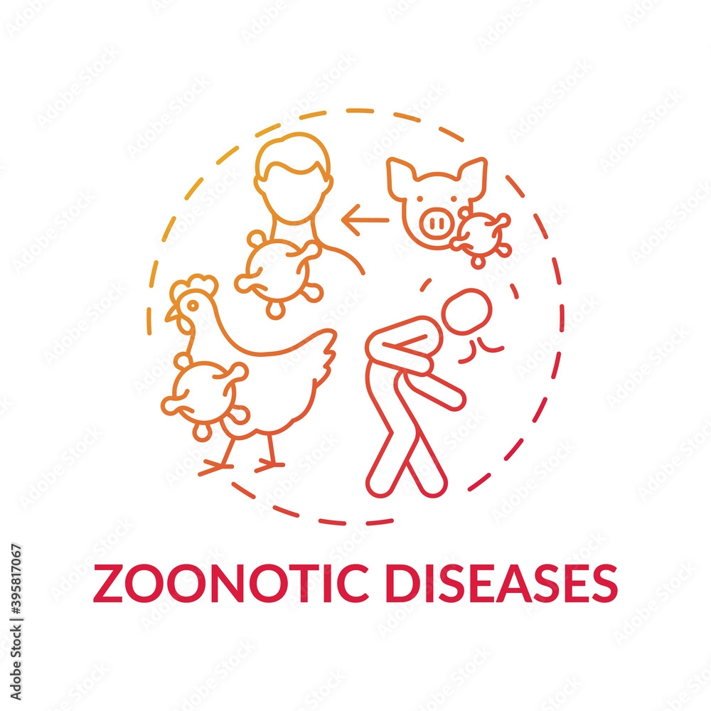 Zoonotic Diseases Red Gradient Concept Icon Bird Pig Flu Swine Influenza Infection From Animal Healthcare Idea Thin Line Illustration Vector Isolated Outline RGB Color Drawing Stock Vector Adobe Stock